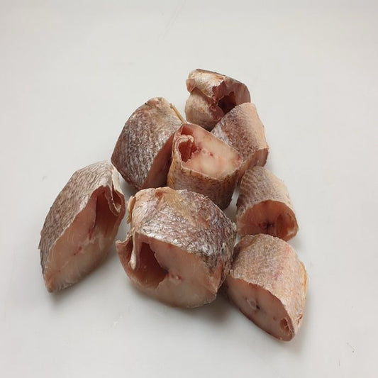 Frozen Croaker Fish