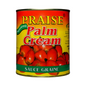 Praise Palm Cream